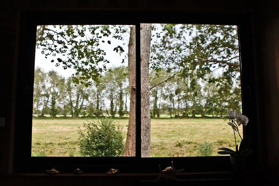 Bed and Breakfast Ty Polder à Île-Tudy Couette-café